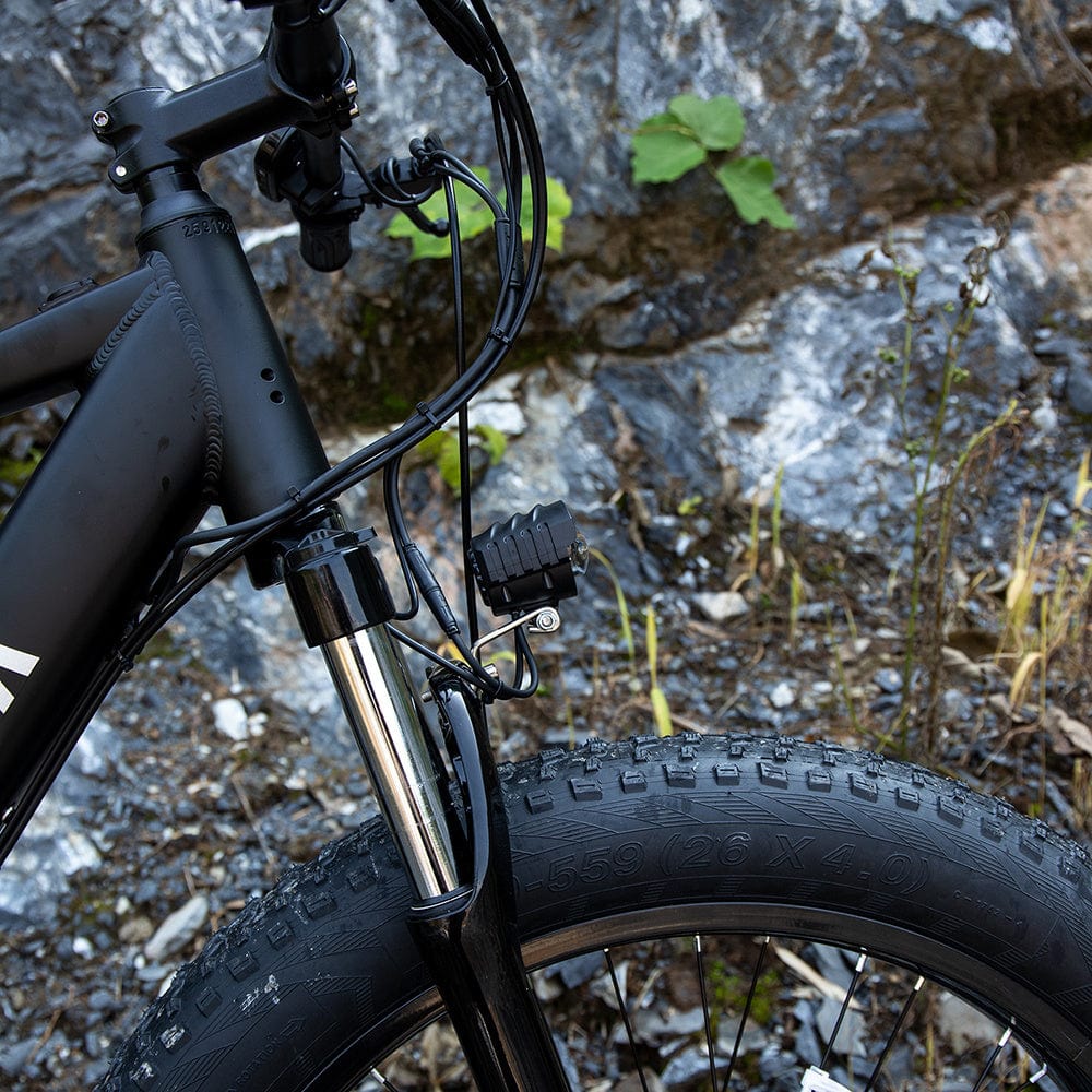 Pro 1000W Motor 48V 15Ah E-Bike For Trail Riding - ALLRJ
