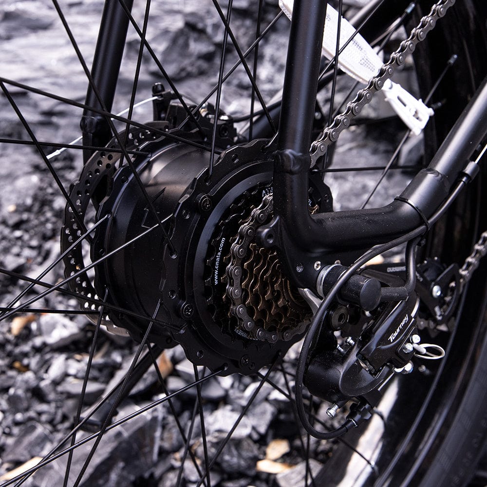 Pro 1000W Motor 48V 15Ah E-Bike For Trail Riding - ALLRJ