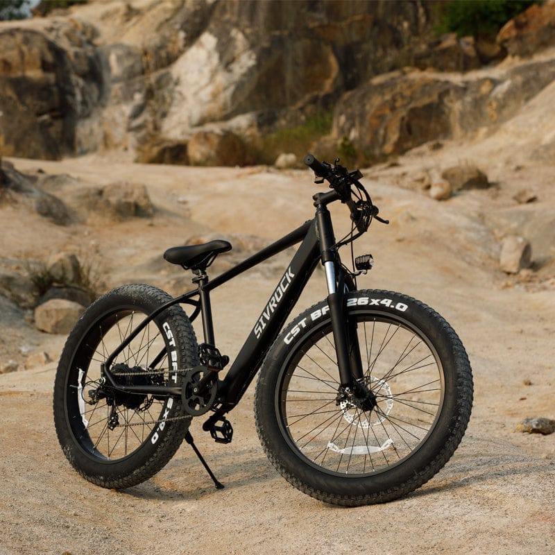 Pro 1000W Motor 48V 15Ah E-Bike For Trail Riding - ALLRJ