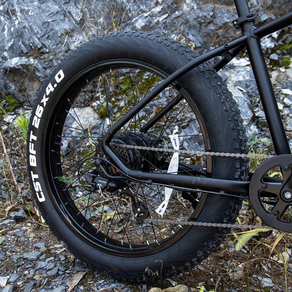 Pro 1000W Motor 48V 15Ah E-Bike For Trail Riding - ALLRJ