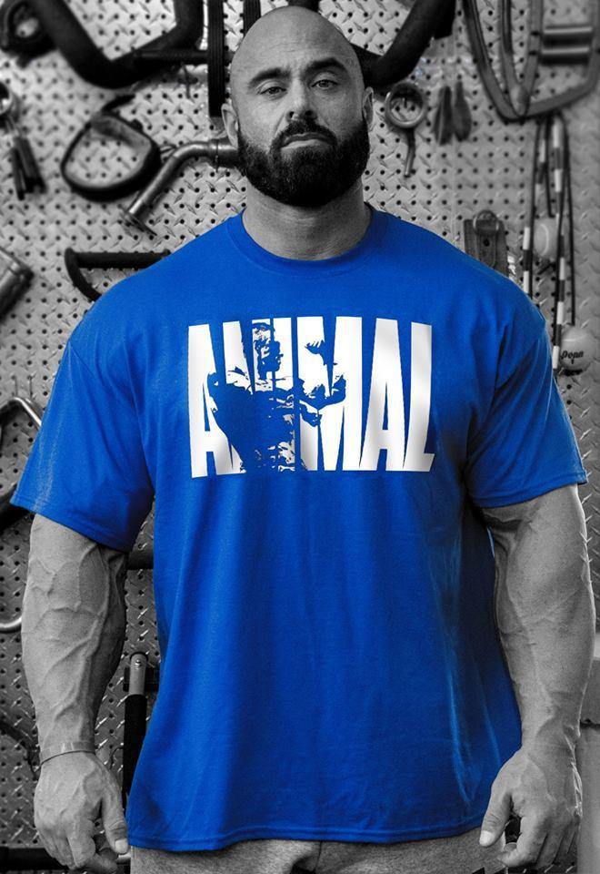 Men's old school animal training shirt Royal Blue