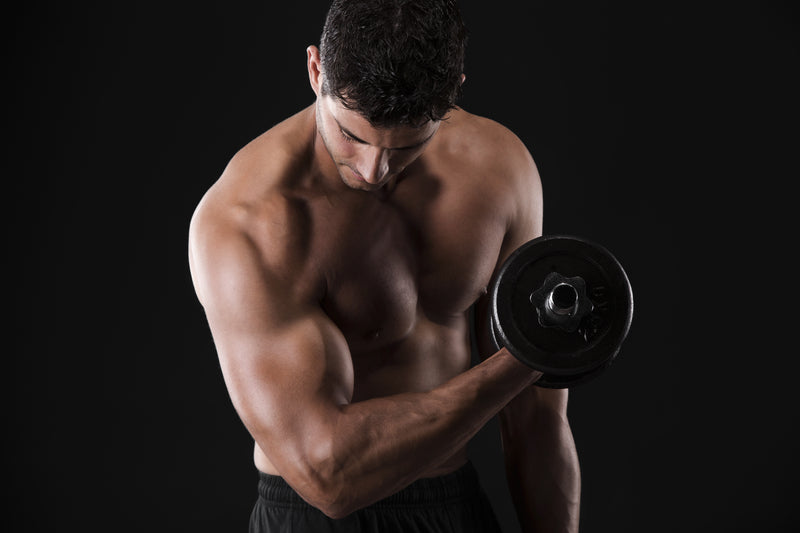 Man doing concentrated dumbbell curls - Allrj 