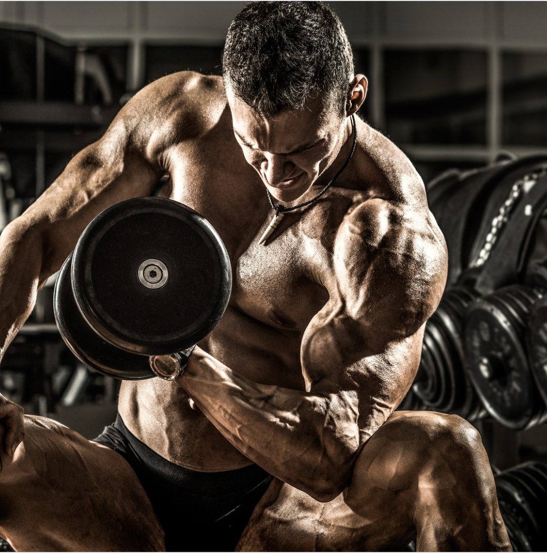 Choosing the Best Workout Split,ALLRJ,www.allrj.com