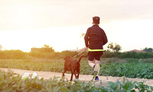 What You Should Change to Get More Out of Your Workout Routine - ALLRJ