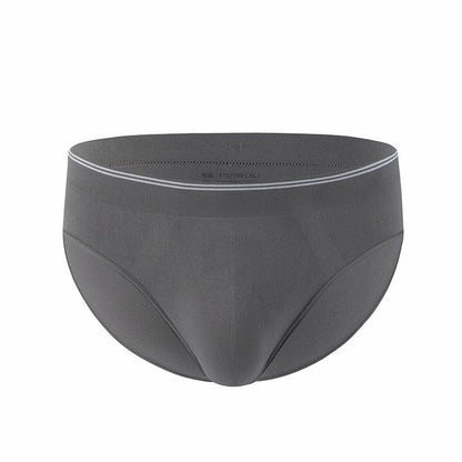 ALLRJ brief Dark Grey / 2XL Men's Nylon Ice Silk Light Brief Briefs