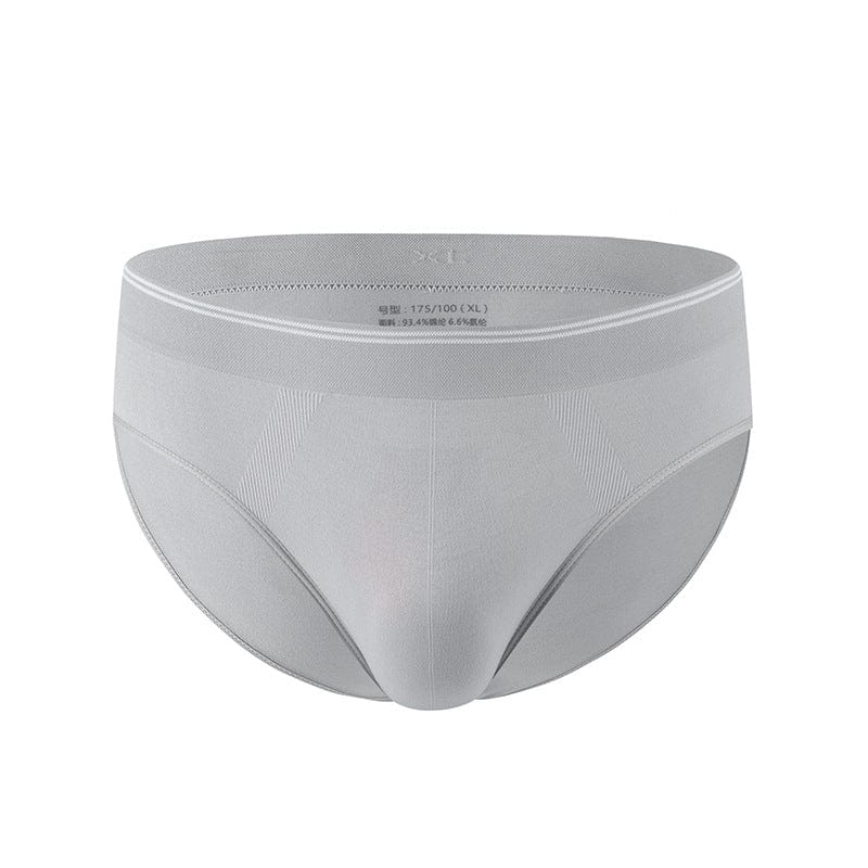 ALLRJ brief Light Grey / 2XL Men's Nylon Ice Silk Light Brief Briefs