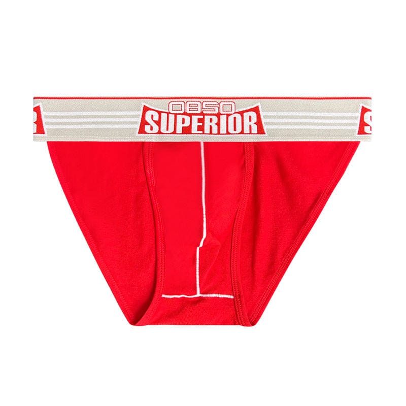 Power Flex Men's Low Waist Performance Briefs - ALLRJ