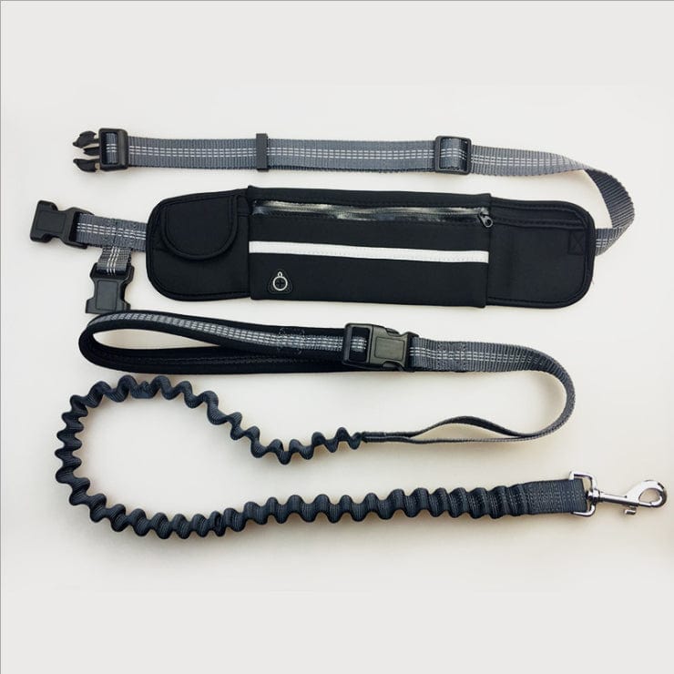Hands free dog walking leash with running waist pack Black