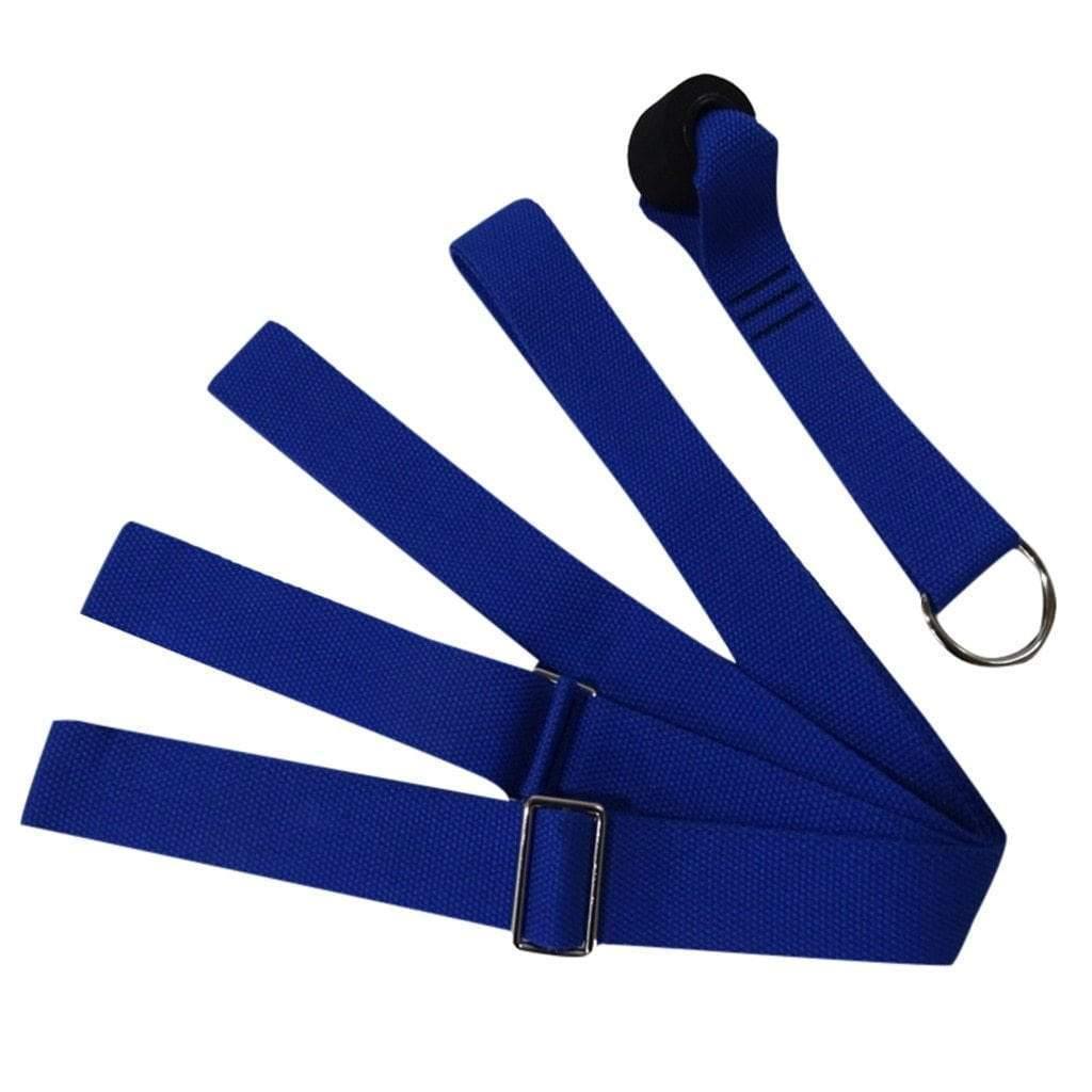 Door Flexibility Trainer Plus Blue United States