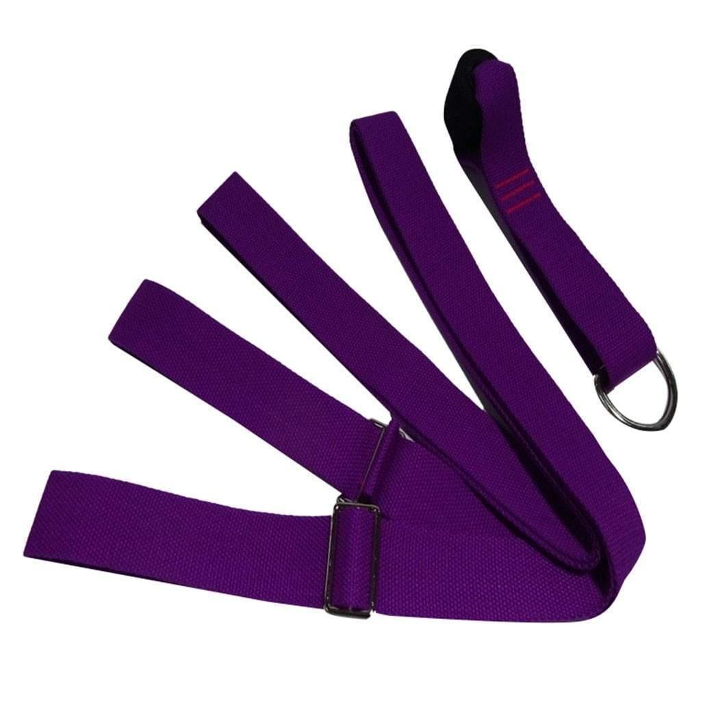 Door Flexibility Trainer Plus Purple United States