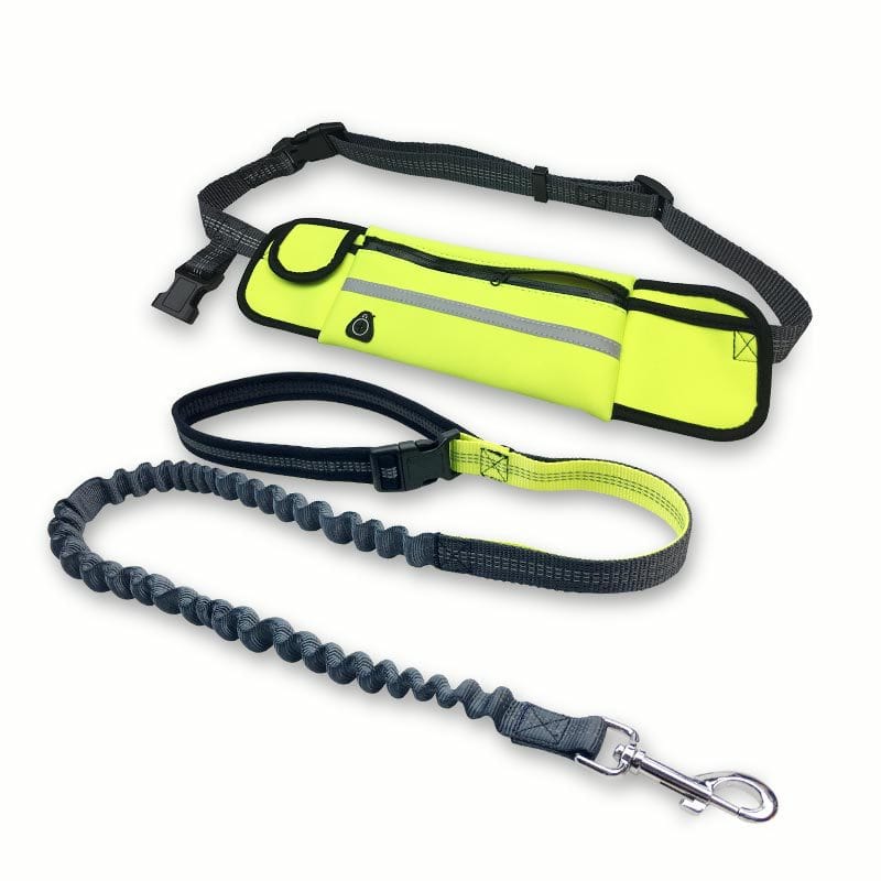 Hands free dog walking leash with running waist pack Green