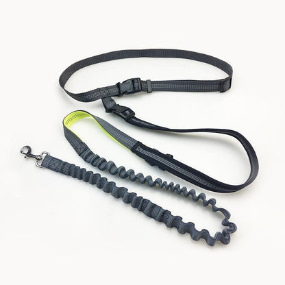 Hands free dog walking leash with running waist pack