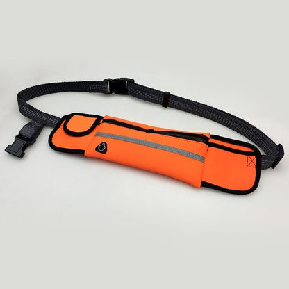 Hands free dog walking leash with running waist pack