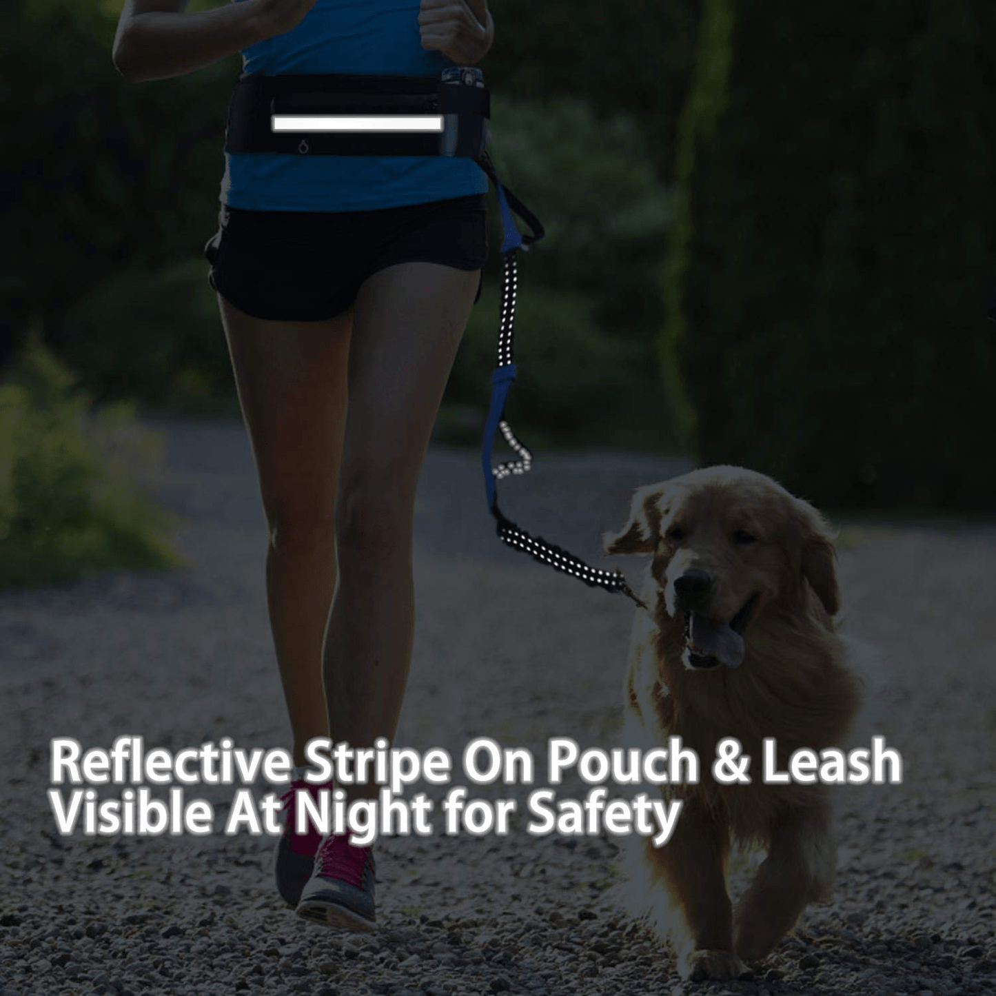 Hands free dog walking leash with running waist pack - ALLRJ