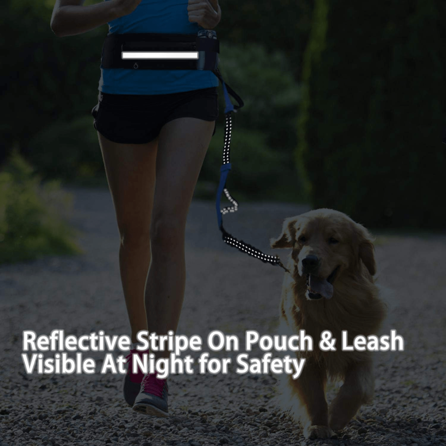 Hands free dog walking leash with running waist pack