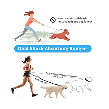 Hands free dog walking leash with running waist pack