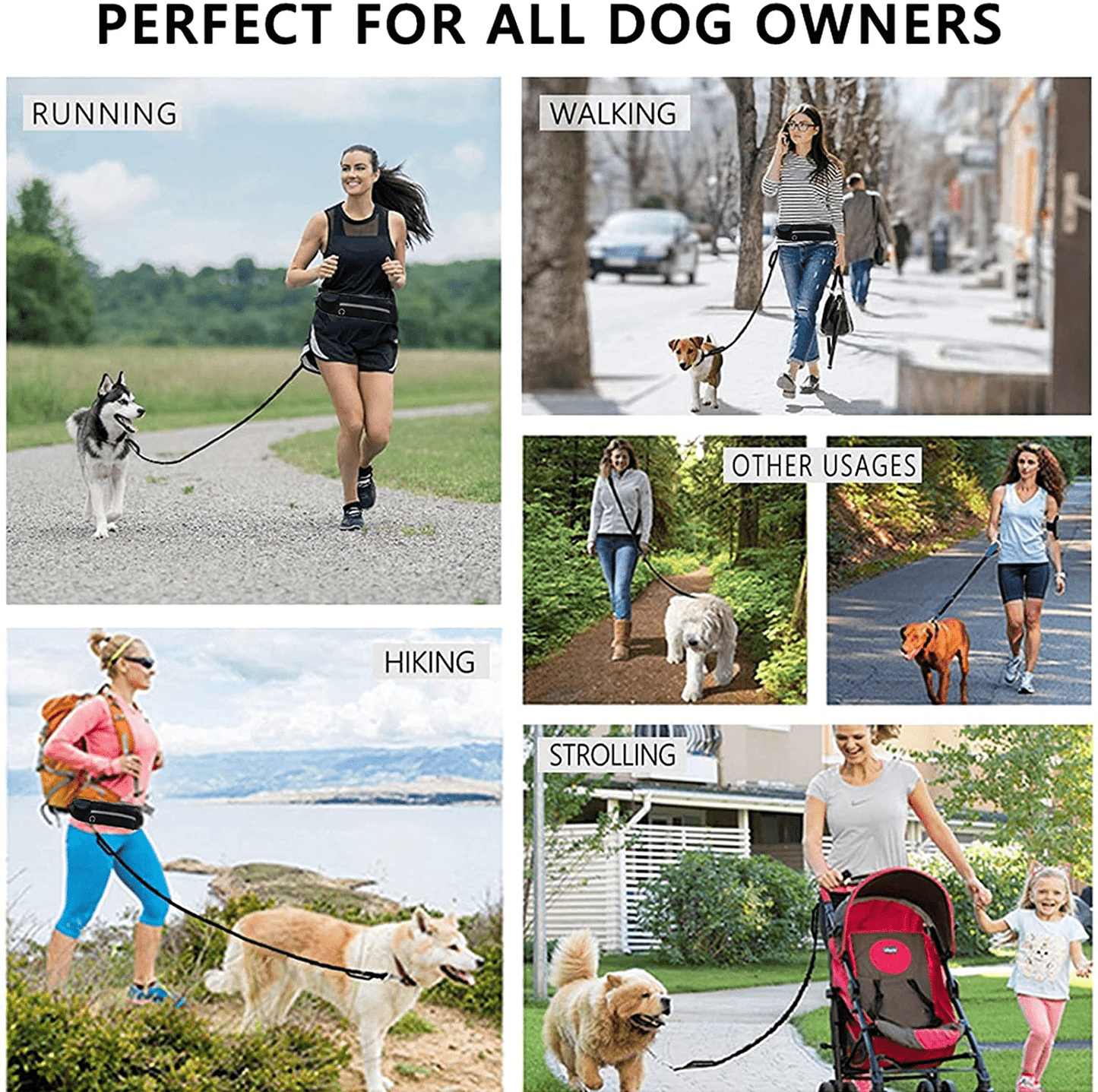 Hands free dog walking leash with running waist pack