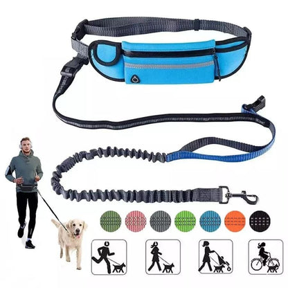 Hands free dog walking leash with running waist pack