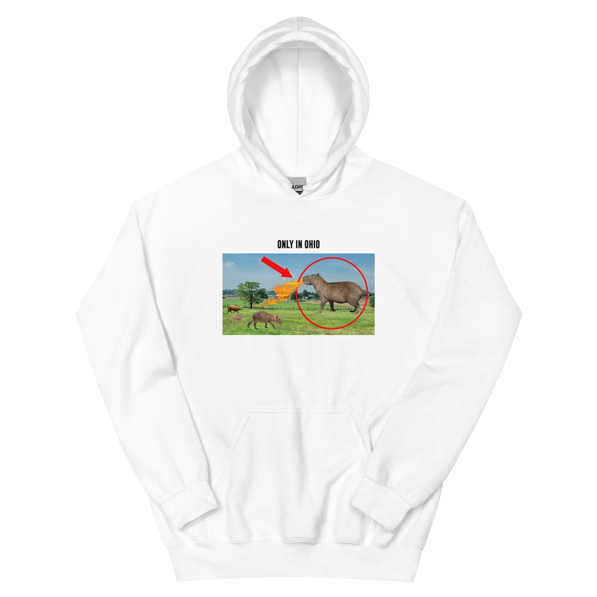 Ohio Alpha Hoodie White