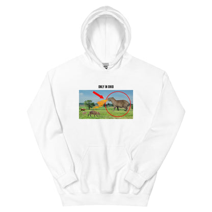 Ohio Alpha Hoodie - ALLRJ