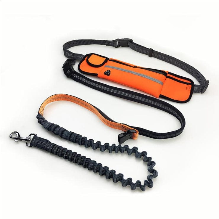 Hands free dog walking leash with running waist pack Orange