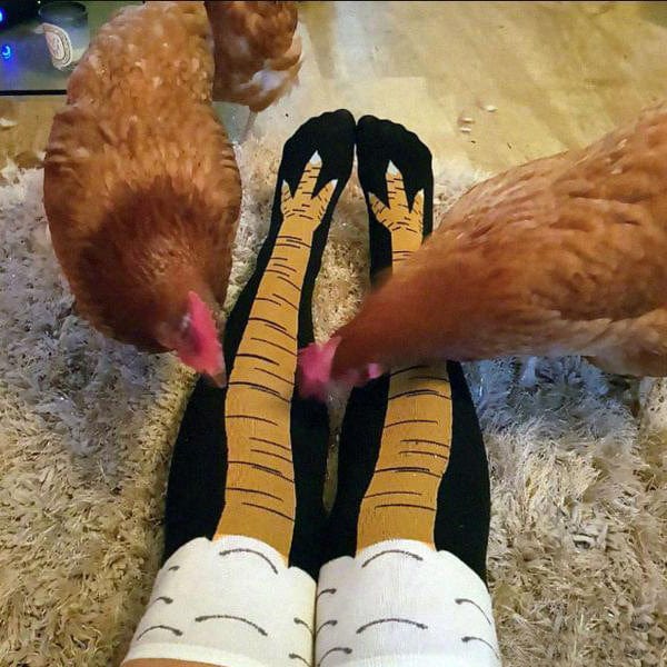Funny gym socks - ALLRJ